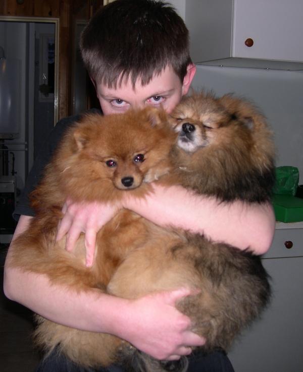 Jérémy et ses spitz