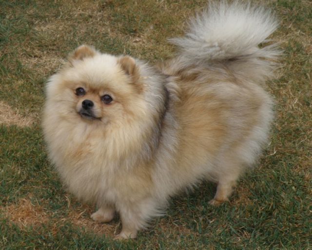 LUNA 2 ans